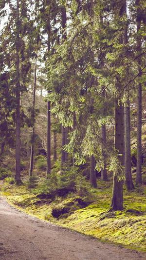 外贸网站模板外贸网站建设截图3