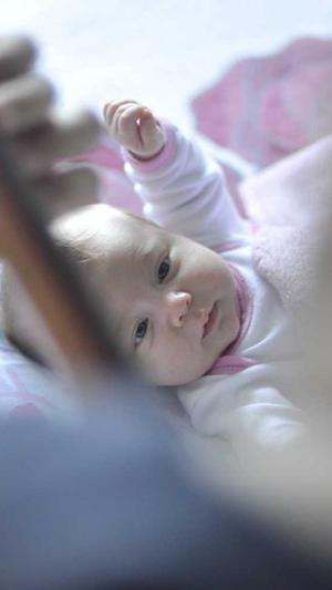 租蜘蛛池有用吗百度截图2