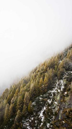 搜狗泛目录啥意思截图3