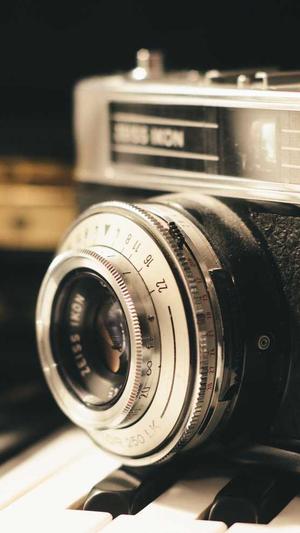 天道蜘蛛池搭建视频截图4