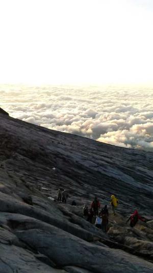 购买蜘蛛池真的有用吗截图2