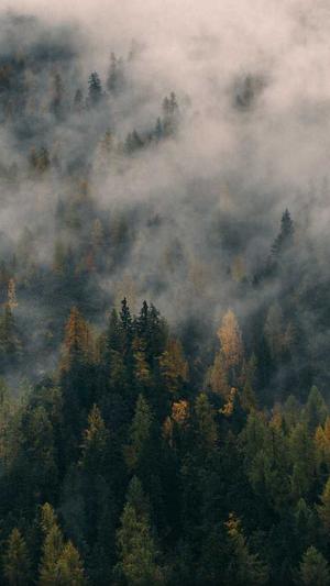 超级蜘蛛池怎样做截图1