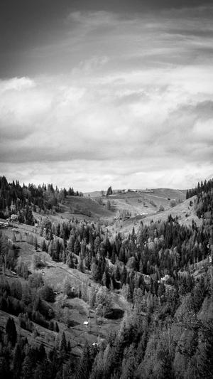 SEO研究中心截图2