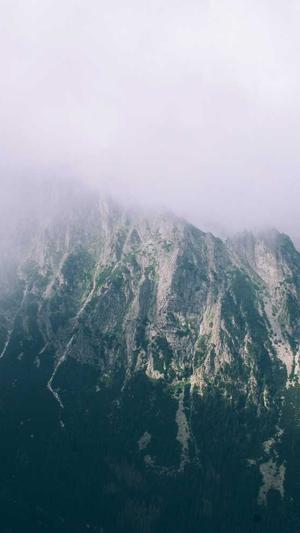 西藏搜狗蜘蛛池租用截图1