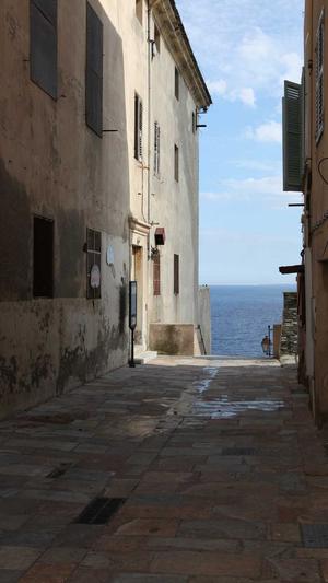 旺道seo系统截图3