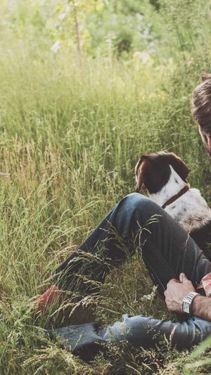 蜘蛛池租用包月选哪家截图2