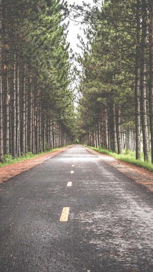 泛目录站群怎么操作截图2