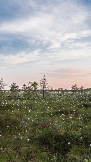 零距离泛目录下载截图1