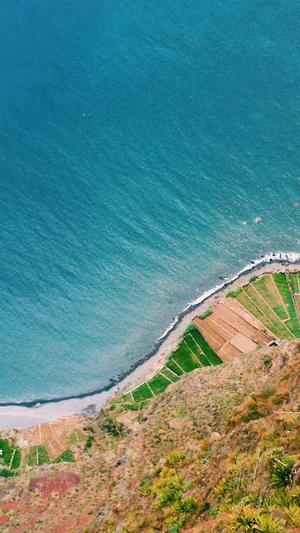 怎么用蜘蛛池做外推截图3