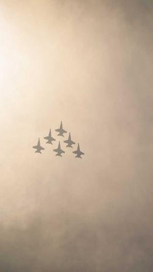 蜘蛛池搭建步骤图解截图1