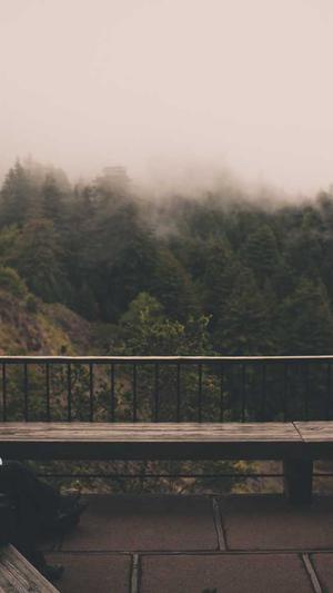 建设的招标网站截图2