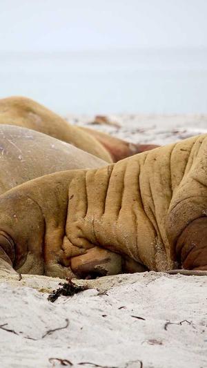 无锡站外seo推广工具截图1