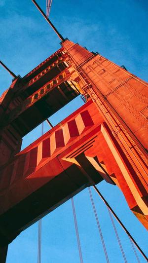 超级蜘蛛池租用多少钱截图5