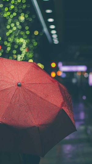 seo深度优化工具截图1