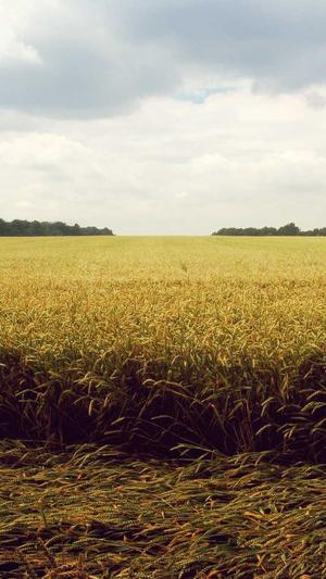 惠州网站建设截图3
