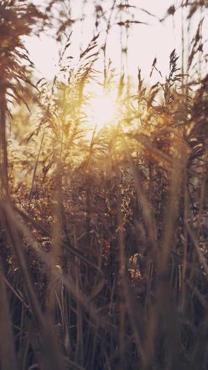 哪里网站建设截图4