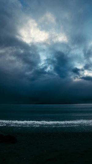 专业的网站建设公截图4