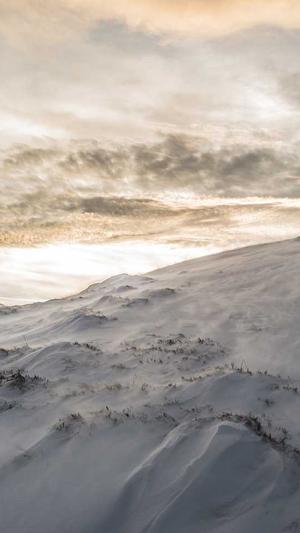 深圳市建设局网站截图2