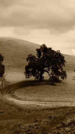 广州建设工程交易中心网站截图4