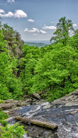 唐山seo工具截图3