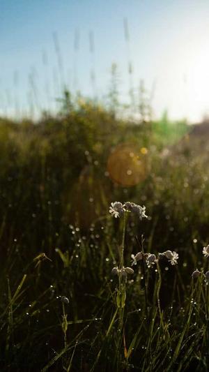 蜘蛛池刷排名需要多久截图1