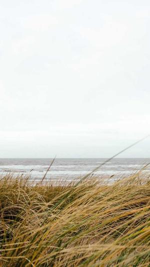 北京网站建设app截图2