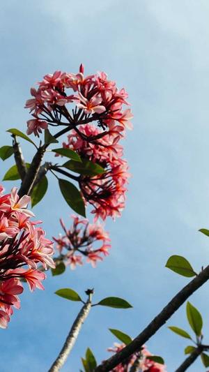 蜘蛛池搭建教程图纸截图1