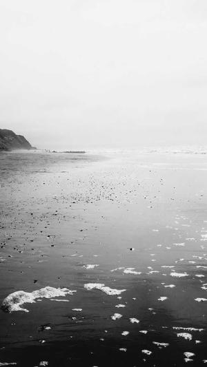 seo泛目录加旺客专家好截图4