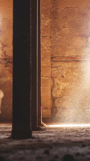 seo发帖工具泛目录推广截图1