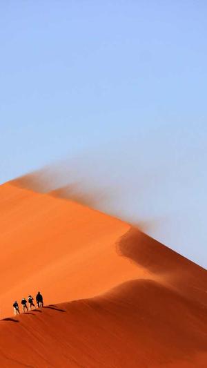 有效的网站seo优化平台截图4