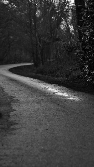 爱站seo工具包是什么截图4