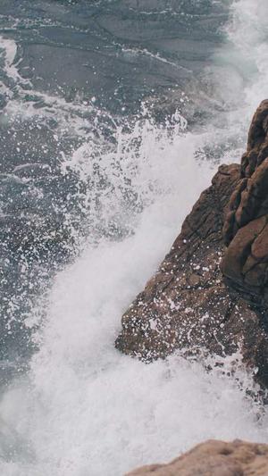 seo软件优化工具软件截图2