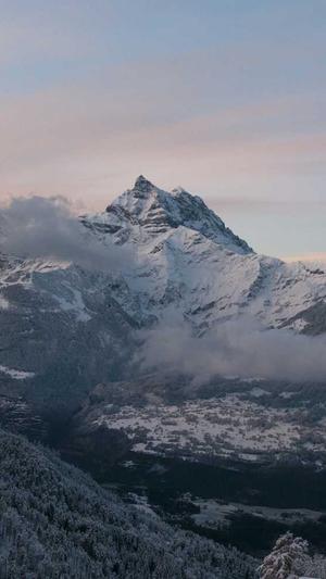 网站建设公司哪个好截图2