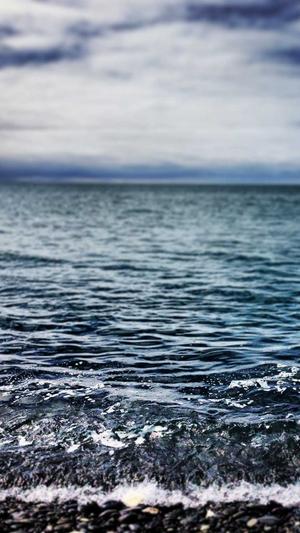 镜像蜘蛛池截图2