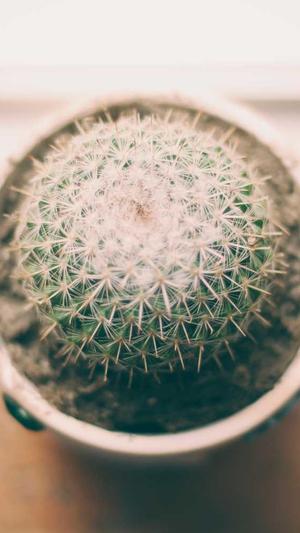 排名seo优化公司截图5