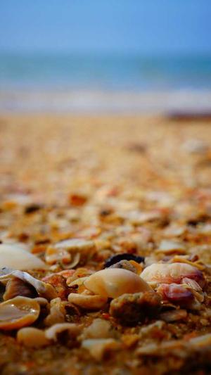 网站建设和网络建设是一个意思吗截图4