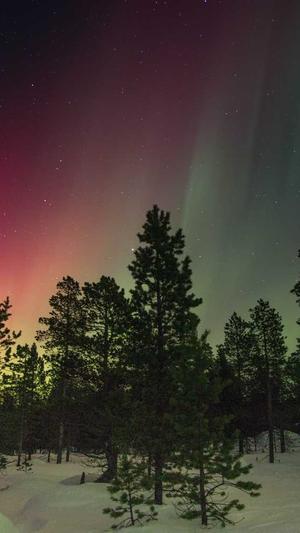 小旋风万能蜘蛛池x10截图2