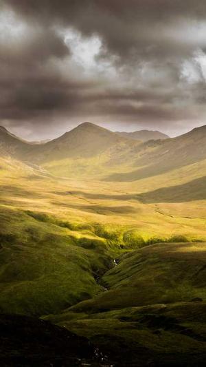 零距离蜘蛛池怎么进截图2