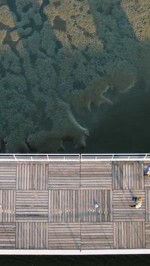 站长超级蜘蛛池截图5