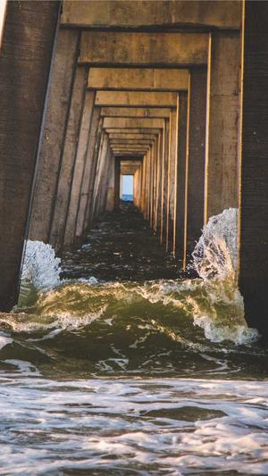 泛目录站群词霸视频站截图2