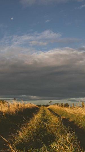 杭州seo优化截图5