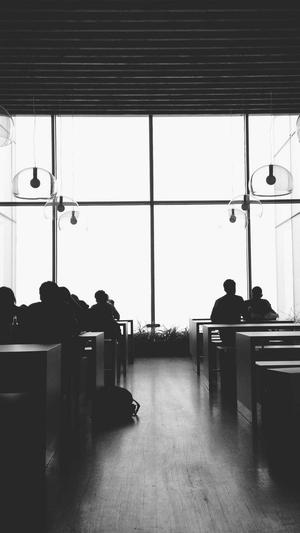 seo优排名工具截图1