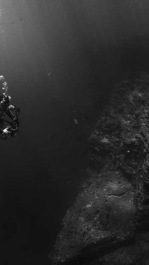 低价网站建设截图2