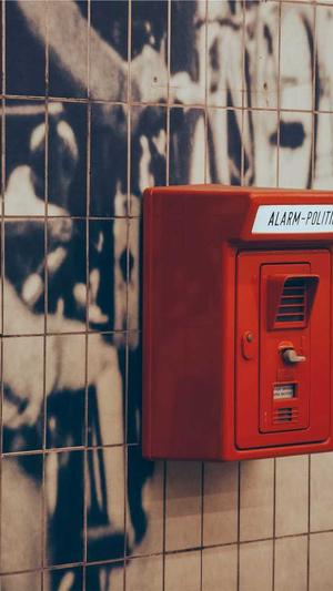 重庆网站seo排名截图5