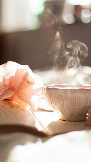 青海蜘蛛池出租包月截图1