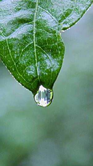 面试网站建设的问题截图3