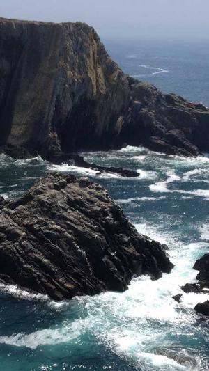 企业网站建设制作截图1