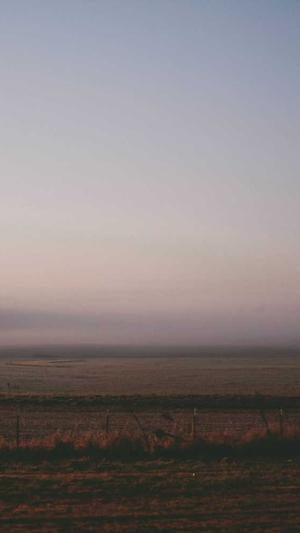 哪里可以搭建蜘蛛池截图1