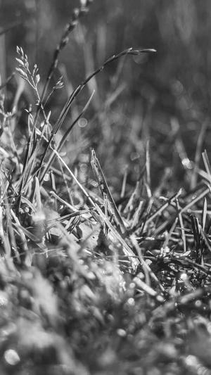 seo优化常用工具有哪些截图3