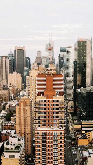 SEO蜘蛛池怎么做截图3